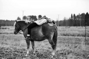 P35B3402 300x199 The horse knows. He knows if you know, he also knows if you donÂ´t know. 